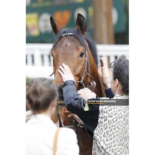 Pisa - San Rossore racecourse, 25th march 2012 ph.Stefano Grasso