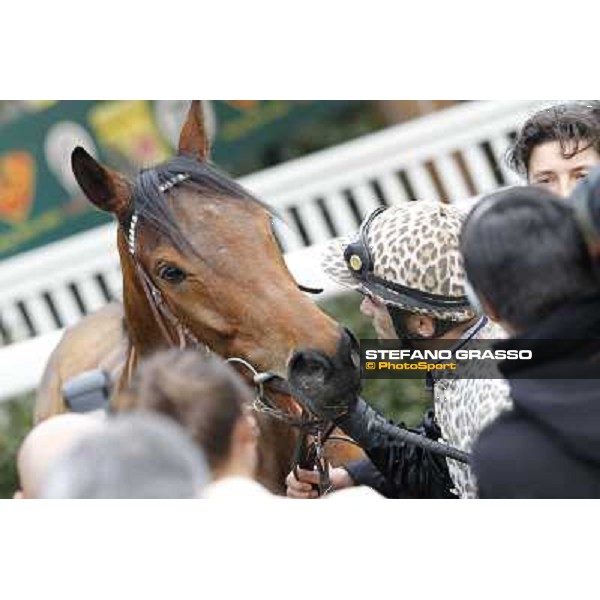 Pisa - San Rossore racecourse, 25th march 2012 ph.Stefano Grasso