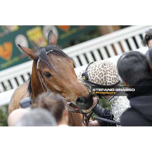 Pisa - San Rossore racecourse, 25th march 2012 ph.Stefano Grasso