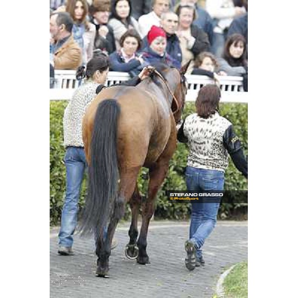 Pisa - San Rossore racecourse, 25th march 2012 ph.Stefano Grasso