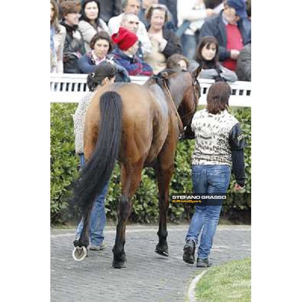 Pisa - San Rossore racecourse, 25th march 2012 ph.Stefano Grasso