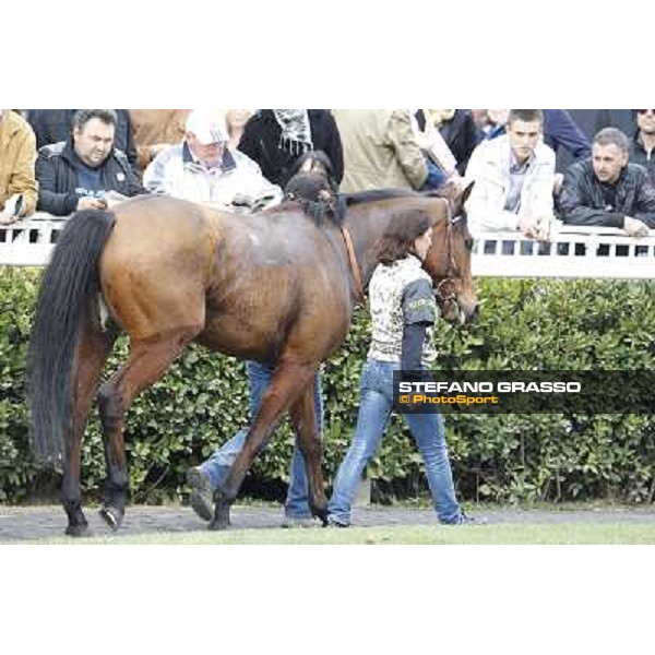 Pisa - San Rossore racecourse, 25th march 2012 ph.Stefano Grasso