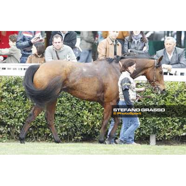 Pisa - San Rossore racecourse, 25th march 2012 ph.Stefano Grasso