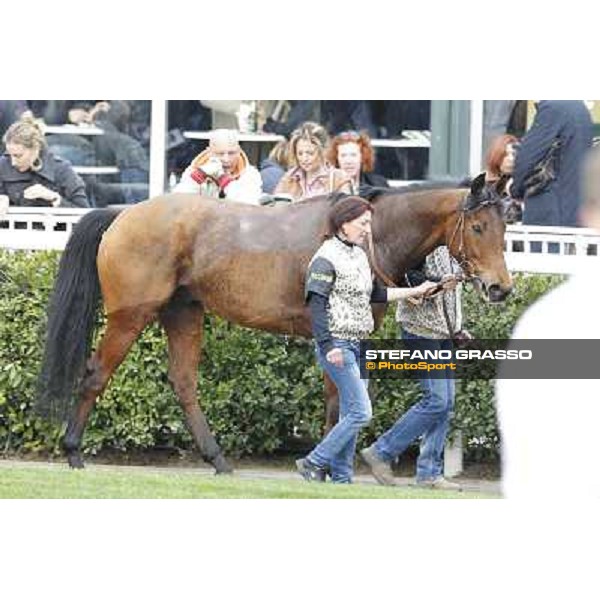 Pisa - San Rossore racecourse, 25th march 2012 ph.Stefano Grasso