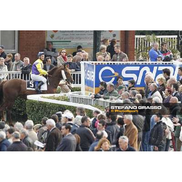 Pisa - San Rossore racecourse, 25th march 2012 ph.Stefano Grasso