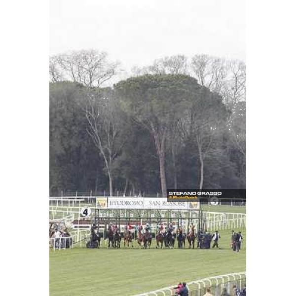Pisa - San Rossore racecourse, 25th march 2012 ph.Stefano Grasso
