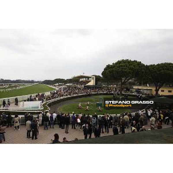 Pisa - San Rossore racecourse, 25th march 2012 ph.Stefano Grasso