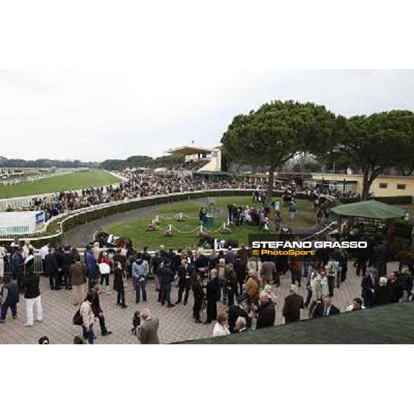 Pisa - San Rossore racecourse, 25th march 2012 ph.Stefano Grasso