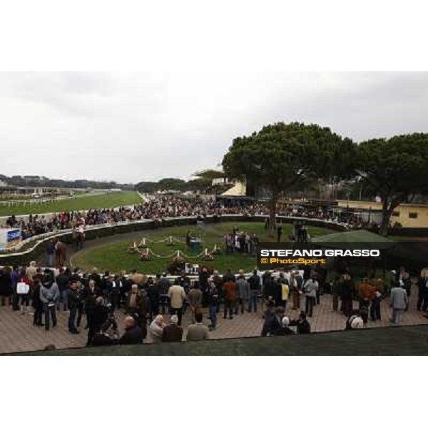 Pisa - San Rossore racecourse, 25th march 2012 ph.Stefano Grasso