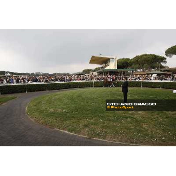 Pisa - San Rossore racecourse, 25th march 2012 ph.Stefano Grasso