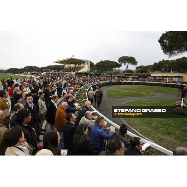 Pisa - San Rossore racecourse, 25th march 2012 ph.Stefano Grasso