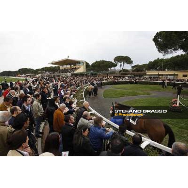 Pisa - San Rossore racecourse, 25th march 2012 ph.Stefano Grasso