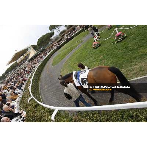 Pisa - San Rossore racecourse, 25th march 2012 ph.Stefano Grasso