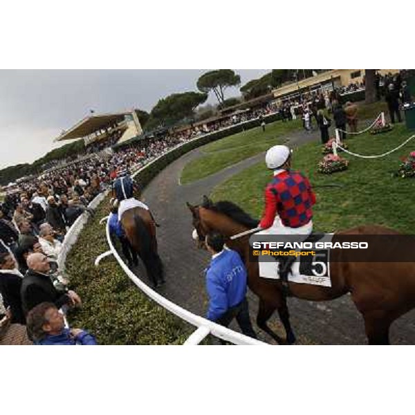 Pisa - San Rossore racecourse, 25th march 2012 ph.Stefano Grasso