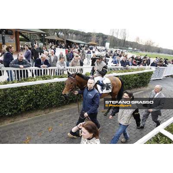 Pisa - San Rossore racecourse, 25th march 2012 ph.Stefano Grasso