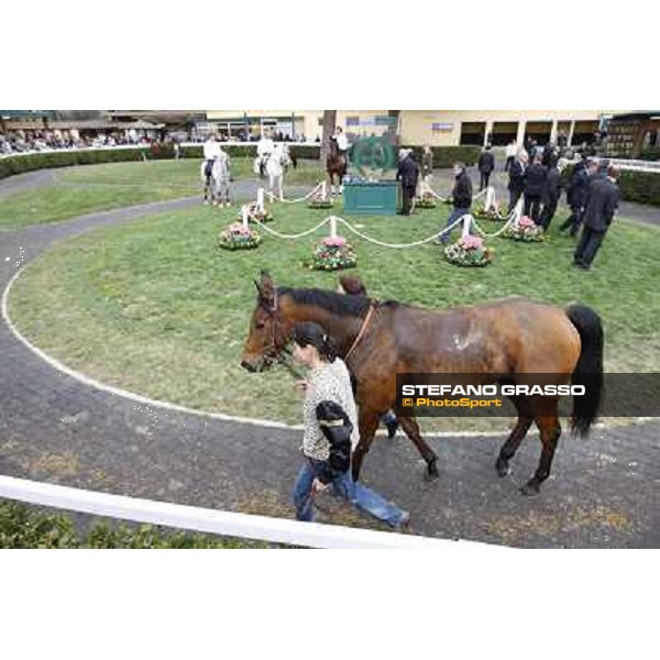 Pisa - San Rossore racecourse, 25th march 2012 ph.Stefano Grasso