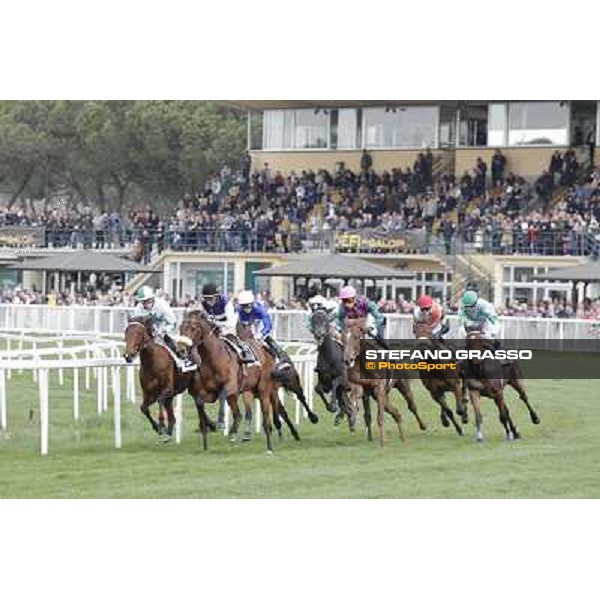 Pisa - San Rossore racecourse, 25th march 2012 ph.Stefano Grasso