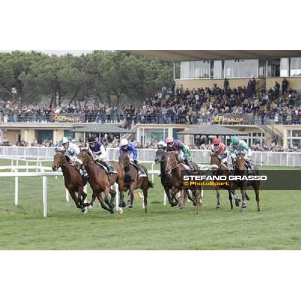 Pisa - San Rossore racecourse, 25th march 2012 ph.Stefano Grasso