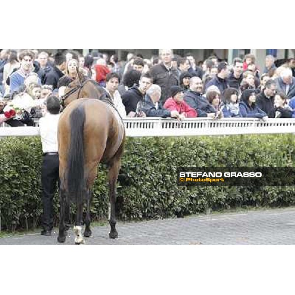 Pisa - San Rossore racecourse, 25th march 2012 ph.Stefano Grasso