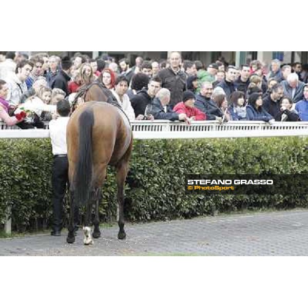 Pisa - San Rossore racecourse, 25th march 2012 ph.Stefano Grasso