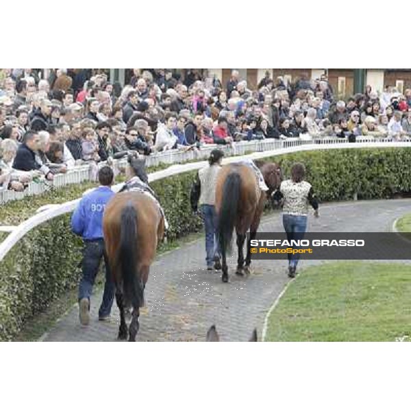 Pisa - San Rossore racecourse, 25th march 2012 ph.Stefano Grasso