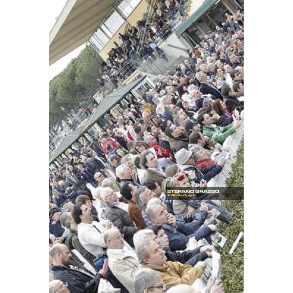 Pisa - San Rossore racecourse, 25th march 2012 ph.Stefano Grasso