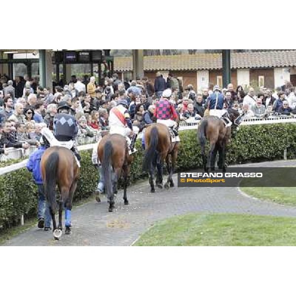 Pisa - San Rossore racecourse, 25th march 2012 ph.Stefano Grasso