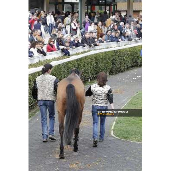 Pisa - San Rossore racecourse, 25th march 2012 ph.Stefano Grasso