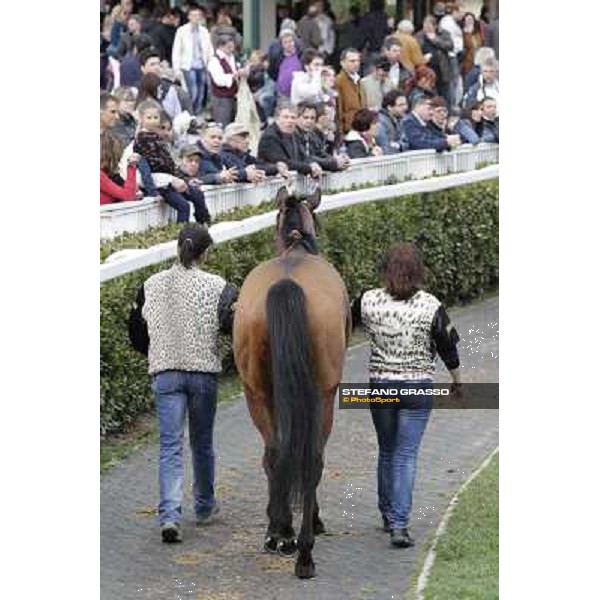 Pisa - San Rossore racecourse, 25th march 2012 ph.Stefano Grasso