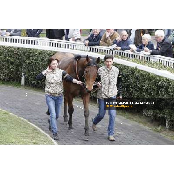 Pisa - San Rossore racecourse, 25th march 2012 ph.Stefano Grasso