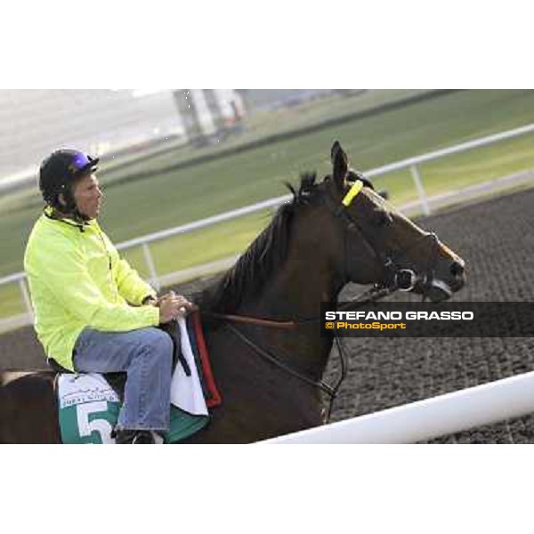 Jakkalberry during morning track works at Meydan Dubai, 28th march 2012 ph.Stefano Grasso