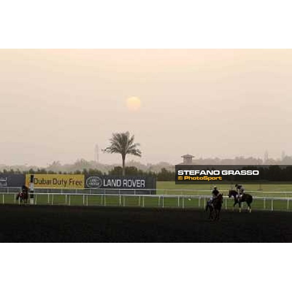 morning track works at Meydan Dubai, 28th march 2012 ph.Stefano Grasso