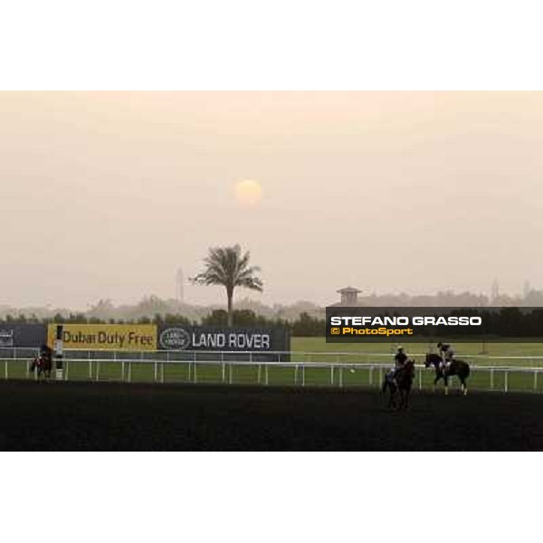 morning track works at Meydan Dubai, 28th march 2012 ph.Stefano Grasso