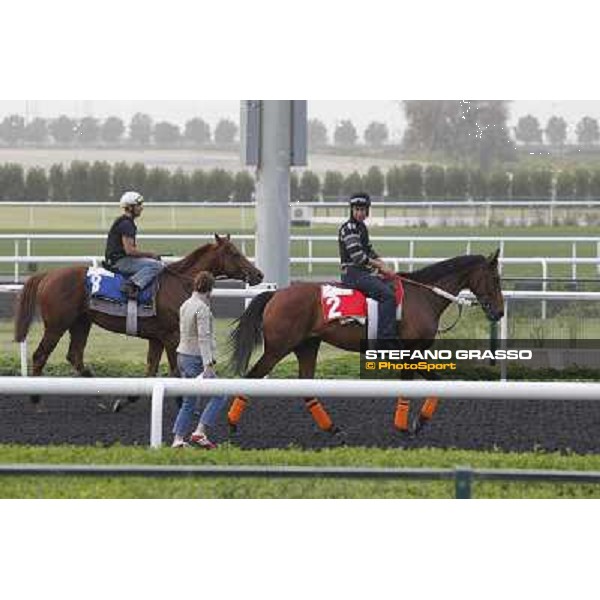 morning track works at Meydan Dubai, 28th march 2012 ph.Stefano Grasso