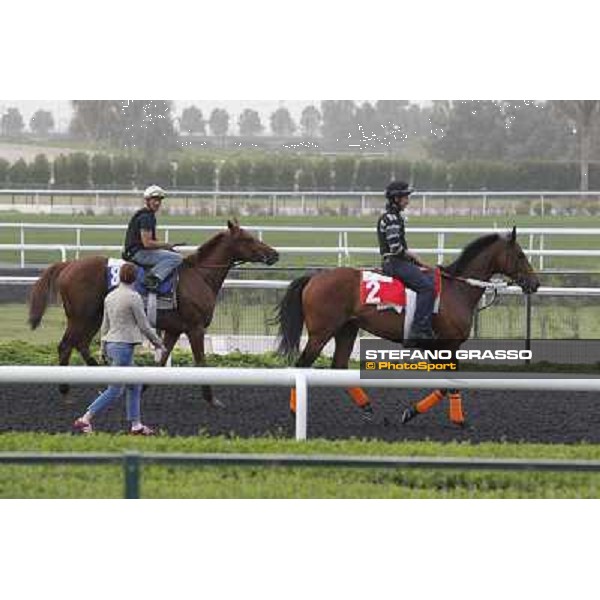 morning track works at Meydan Dubai, 28th march 2012 ph.Stefano Grasso