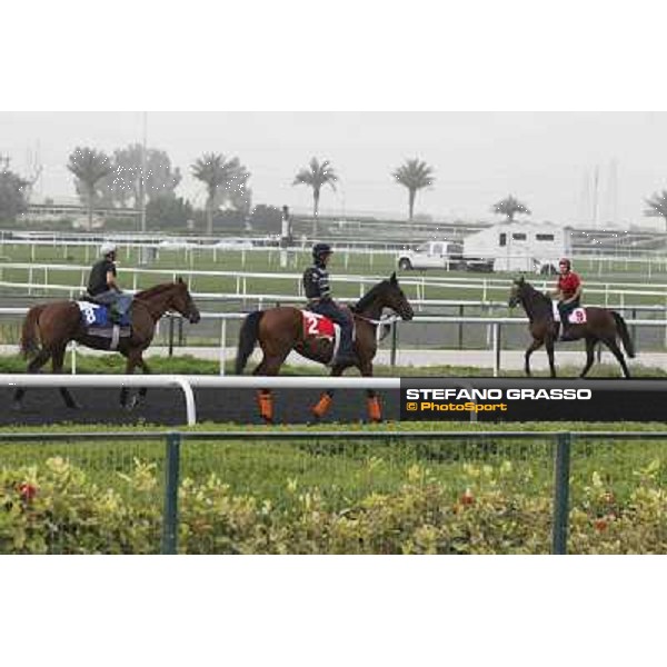 morning track works at Meydan Dubai, 28th march 2012 ph.Stefano Grasso