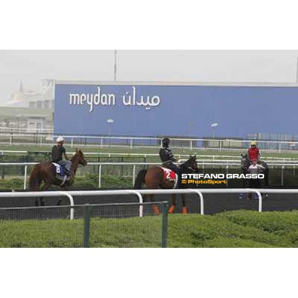 morning track works at Meydan Dubai, 28th march 2012 ph.Stefano Grasso