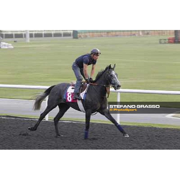 Yang Yse Kiang during morning track works at Meydan Dubai, 28th march 2012 ph.Stefano Grasso