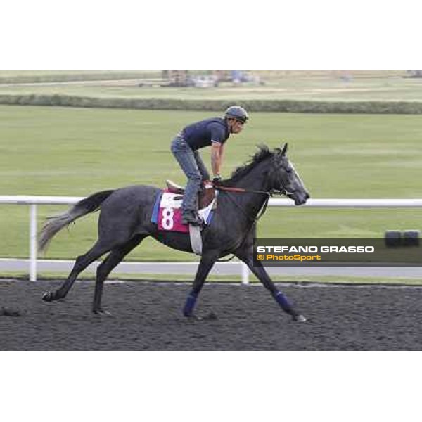 Yang Yse Kiang during morning track works at Meydan Dubai, 28th march 2012 ph.Stefano Grasso