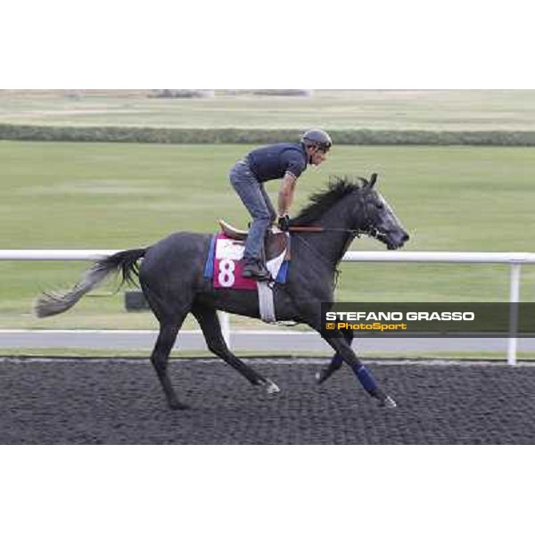 Yang Yse Kiang during morning track works at Meydan Dubai, 28th march 2012 ph.Stefano Grasso