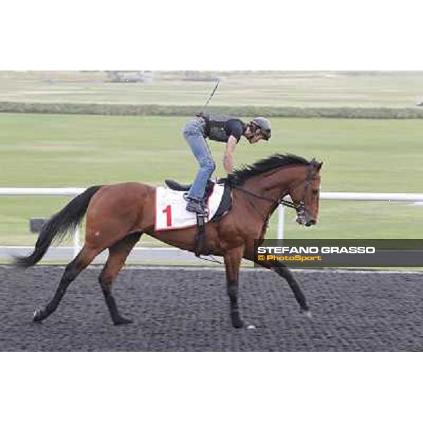 Transcend during morning track works at Meydan Dubai, 28th march 2012 ph.Stefano Grasso