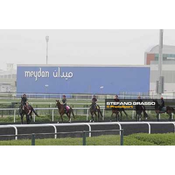 So You Think leads the Aidan O\'Brien team during morning track works at Meydan Dubai, 28th march 2012 ph.Stefano Grasso