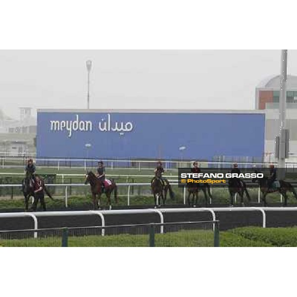 So You Think leads the Aidan O\'Brien team during morning track works at Meydan Dubai, 28th march 2012 ph.Stefano Grasso