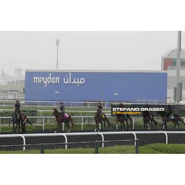 So You Think leads the Aidan O\'Brien team during morning track works at Meydan Dubai, 28th march 2012 ph.Stefano Grasso