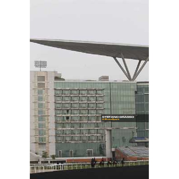 So You Think leads the Aidan O\'Brien team during morning track works at Meydan Dubai, 28th march 2012 ph.Stefano Grasso