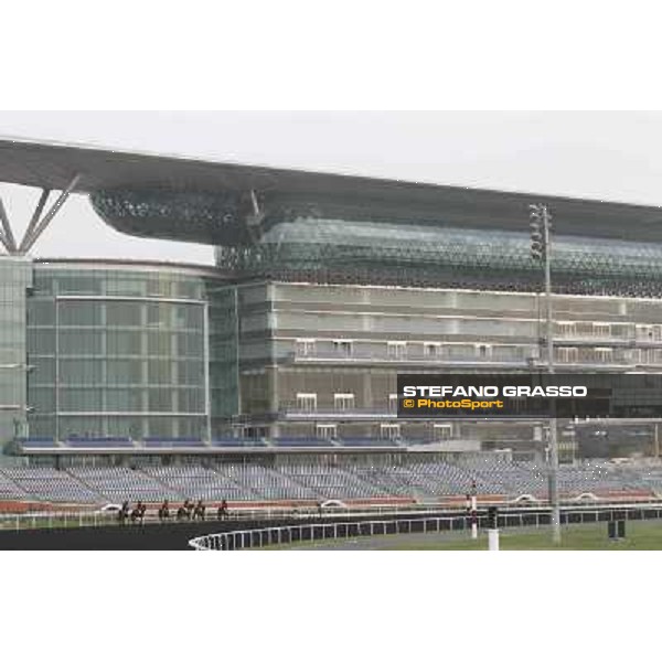 So You Think leads the Aidan O\'Brien team during morning track works at Meydan Dubai, 28th march 2012 ph.Stefano Grasso