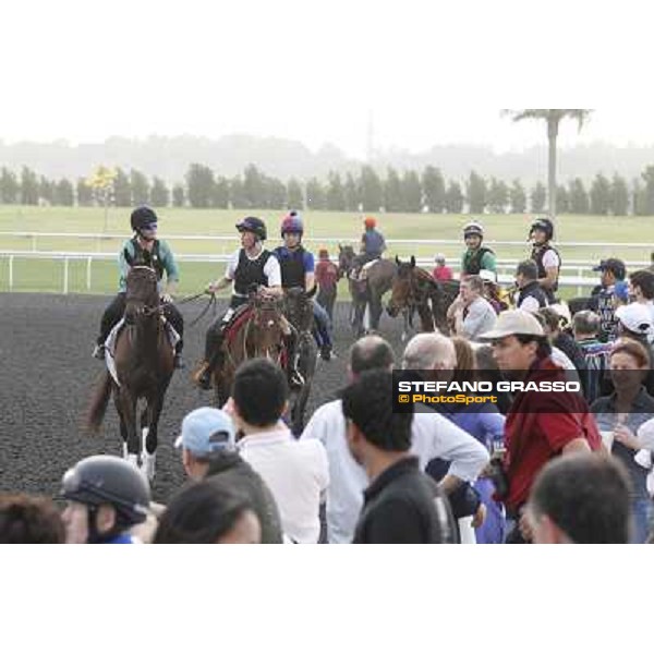 morning track works at Meydan Dubai, 28th march 2012 ph.Stefano Grasso