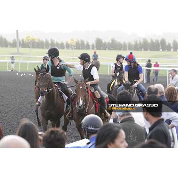 morning track works at Meydan Dubai, 28th march 2012 ph.Stefano Grasso