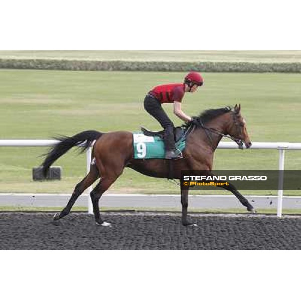 morning track works at Meydan Dubai, 28th march 2012 ph.Stefano Grasso