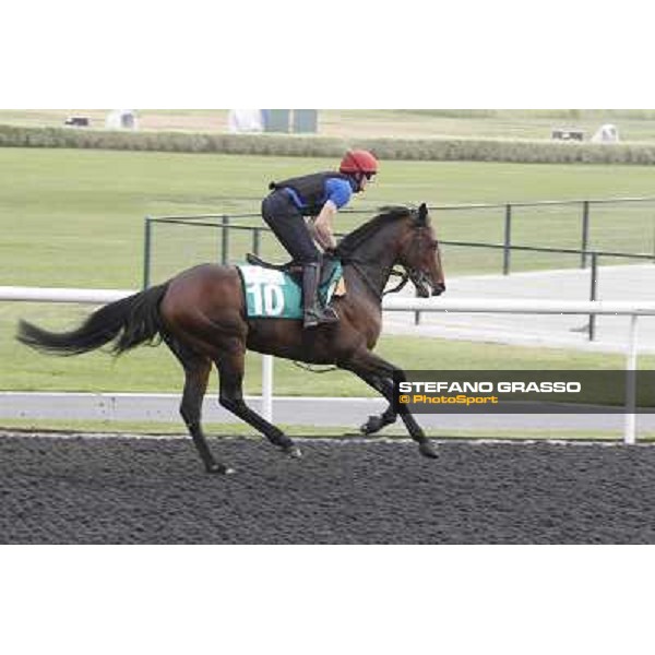 morning track works at Meydan Dubai, 28th march 2012 ph.Stefano Grasso